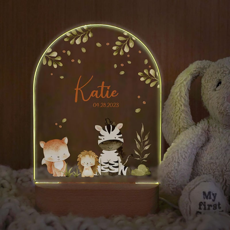 Custom Name Baby Night Light P - Baby Nursery Girl Room 评论和价格