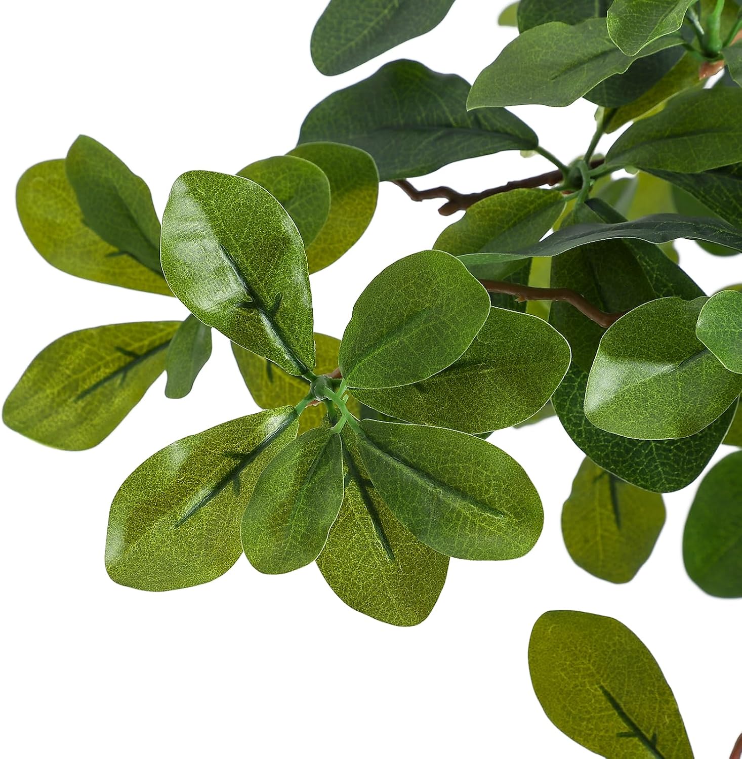 Artificial Plants Indoor, 5/6  - Baby Nursery Office 评论和价格