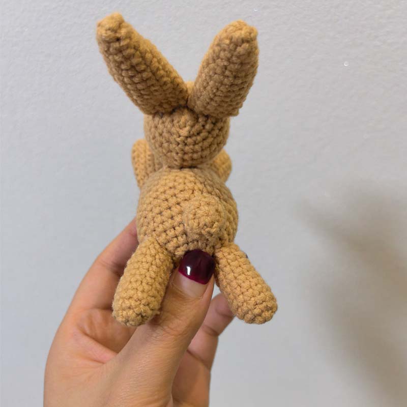 1Pcs Adorable Crochet Rabbit D - Baby Nursery Hanging Decor 评论和价格